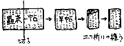 ２．園庭・保育室遊びの環境探訪　画像