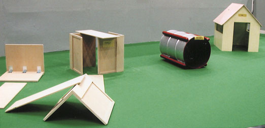 ２．園庭・保育室遊びの環境探訪　画像
