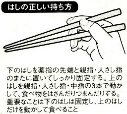 正しい箸の持ち方